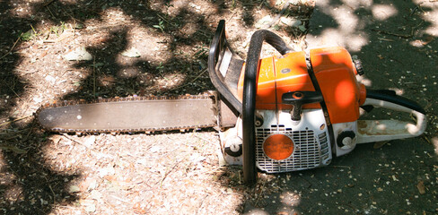 Old dangerous trees are being removed in cities. Chainsaw service process. Oil and gasoline supply.