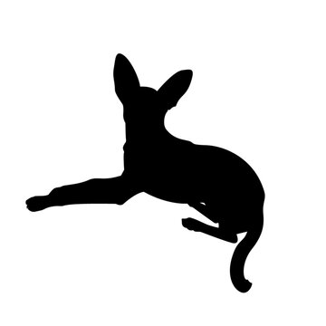 silhouette illustration in dog shape and white background