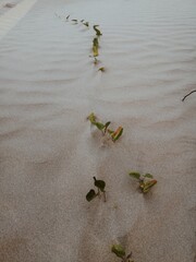 Processed with VSCO with a4 preset