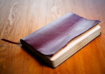 Holy Bible Christian Book Old testament and New Testament Jesus Christ spanish version