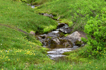 Pristine Alaska alpine mountain stream