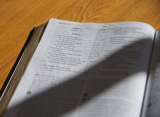 Holy Bible Christian Book Old testament Psalms Chapter 1