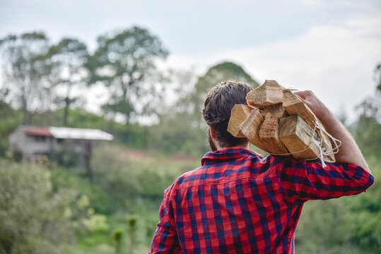 lumberjack bearded man carrying a log of wood
