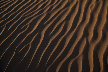 Close up detail of ridges on a sand dune at sunset