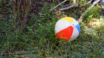 Red, white blue and yellow beach ball  lost in woods.