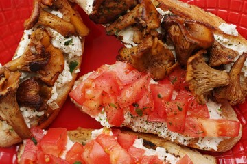 Bruschetta with red tomatoes and chanterelles macro