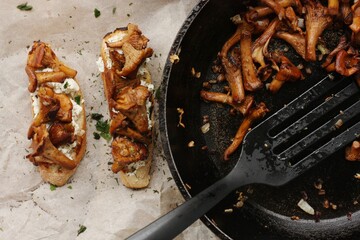 Bruschetta with chanterelles and cottage cheese macro