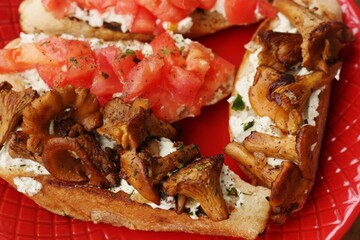 Bruschetta with red tomatoes and chanterelles macro