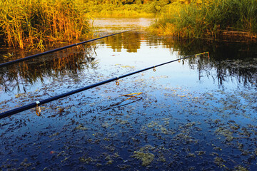 Fishing with a fishing rod and float. Selective focus.
