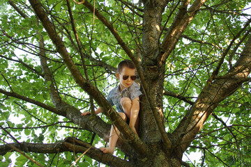 boy in dark sunglasses climbs tall tree, clings to thick branches, concept of summer relaxation, dangerous outdoor activities, childish mischief