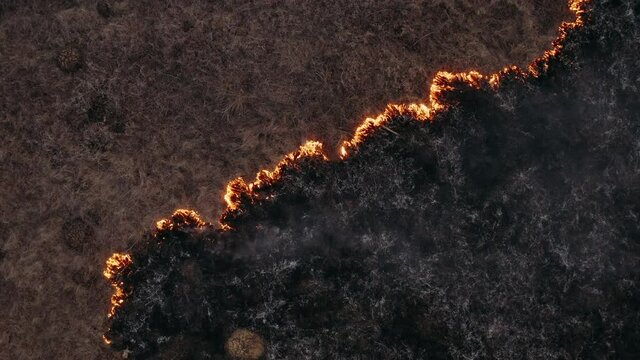 Natural disaster, fire burns dry grass in the field, destruction of nature. Epic aerial photography, gray smoke clouds and ashes. Climate change and ecology. Uncontrolled rural fire.