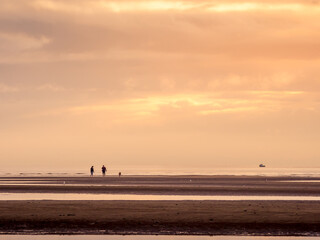 Fototapeta premium People Walking Dog on Tidal Flat