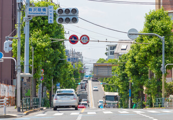 駒沢陸橋交差点から見える駒沢通り