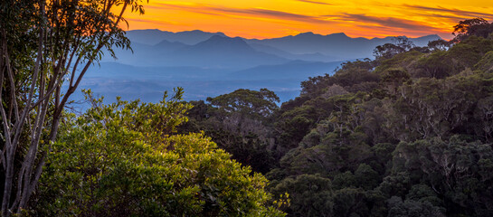 Beautiful Panoramic Rainforest Sunset