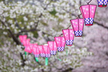 桜とランタン　春のイメージ