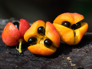 Pink Tamarind