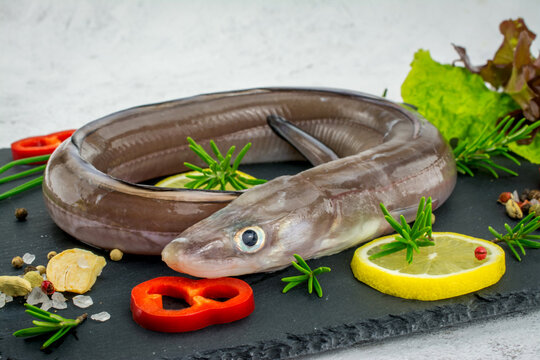 Uncooked eel fish, conger,parsley, salt and lemon - ingredients for cooking