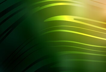 Dark Green, Red vector background with wry lines.