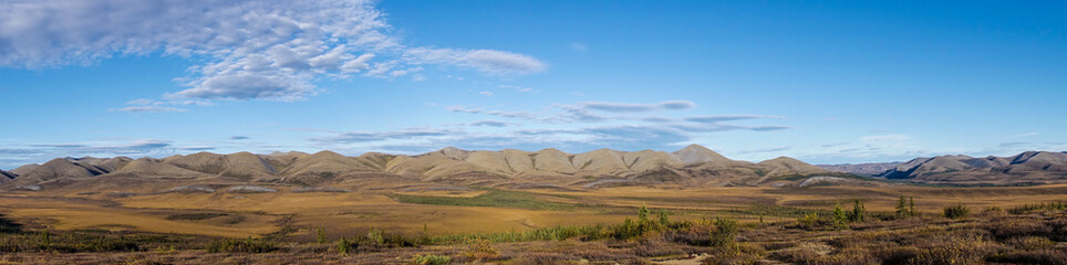 Fototapeta na wymiar Arctic Tundra in fall with mountains and clouds in the Yukon Panaorama 