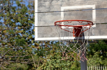 Basketball hoop in the garden