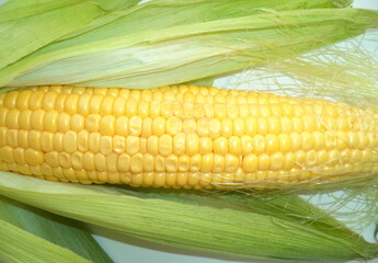 Fresh juicy sweet corn on the cob.
