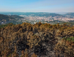 aerial view of the remains of a forest fire near a city