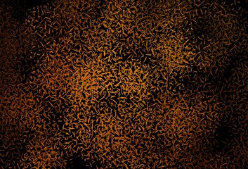 Dark Orange vector background with straight lines.