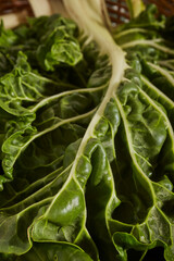 Swiss Chard, raw fresh leaves in a wicker basket from a farm stand in Amish Country, Lancaster County, Pennsylvania, USA