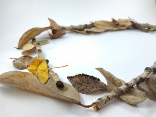 
different figures made with dry leaves of autumn