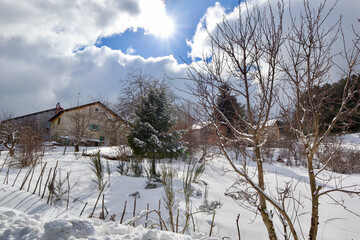 Bonita imagem de casas e vegetação coberta pela neve em final de inverno Europeu. Regiões frias...