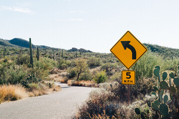A winding road in the Arizona desert.