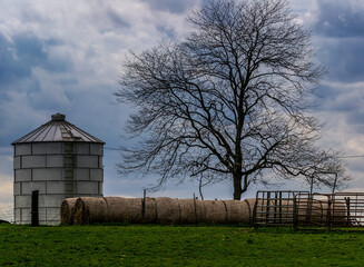 Rural landscape in Ohio with a tree and grain silo.