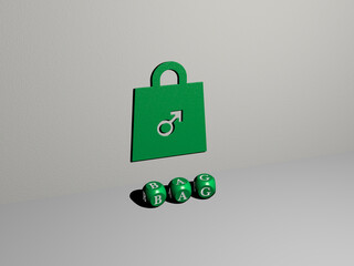 3D representation of BAG with icon on the wall and text arranged by metallic cubic letters on a mirror floor for concept meaning and slideshow presentation. illustration and background
