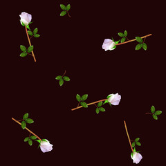 Vector illustration of tender pink roses on a dark background.