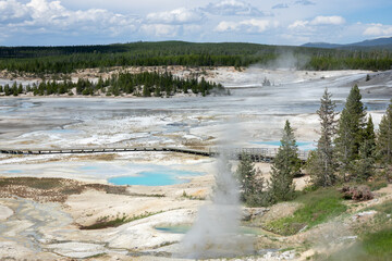 View of Norris Geyser Basin at Yellowstone, Wyoming, USA