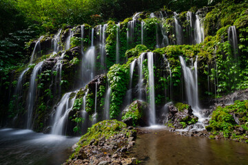 Obraz premium Waterfall landscape. Beautiful hidden waterfall in tropical rainforest. Nature background. Slow shutter speed, motion photography. Banyu Wana Amertha waterfall, Bali, Indonesia