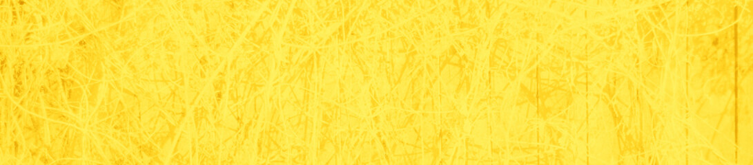 Obraz premium abstract bright yellow color background for design
