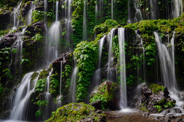 Close up of waterfall. Dynamic water flow. Waterscape background. Nature and environment concept. Banyu Wana Amertha waterfall Bali, Indonesia