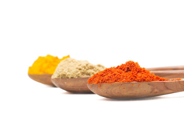 indian spices isolated on white background.