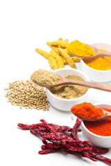 indian spices isolated on white background.