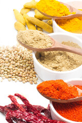 indian spices isolated on white background.