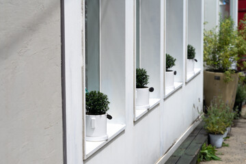 Outdoor view of White wall with four windows with white flower pots