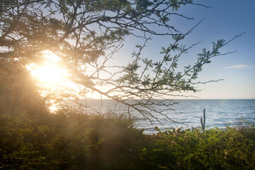 Tropical beach in sunny day, the summer season has some beautiful colors