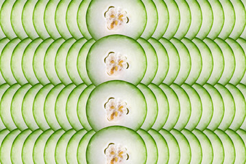 Close-up of wax gourd slice still life