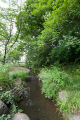 桜台公園（横浜市青葉区）