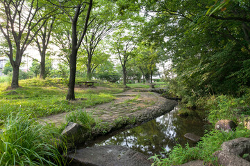 Obraz premium 桜台公園（横浜市青葉区）