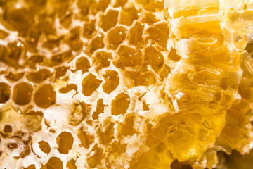 The golden color of nature's wild beehive honey