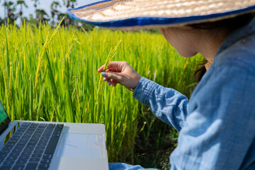 Fototapeta premium Thai beautiful farmer, and Hand in hand with a notebook computer, background nature. Farmers in Thailand concept