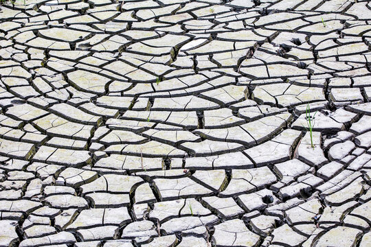 Parched 이미지 찾아보기 16,650 스톡 사진, 벡터 및 비디오 Adobe Stock