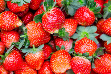 Ripe, bright red strawberries